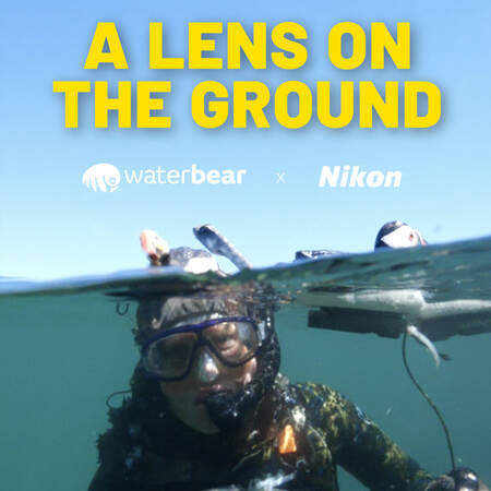 Lens on the Ground