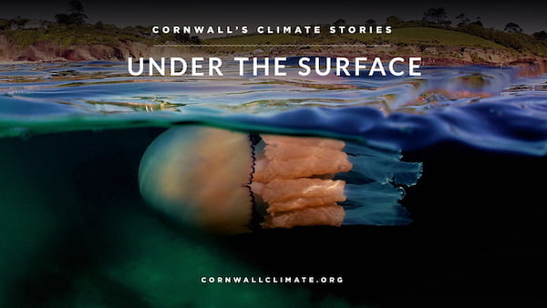 Under The Surface